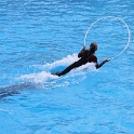 Marineland - Dauphins - 048